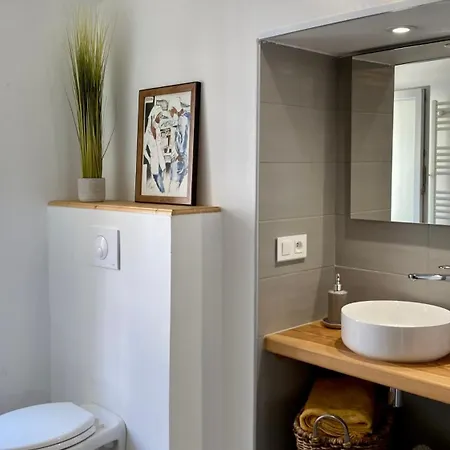 Apartment Rue Pietonne Face Au Marche *